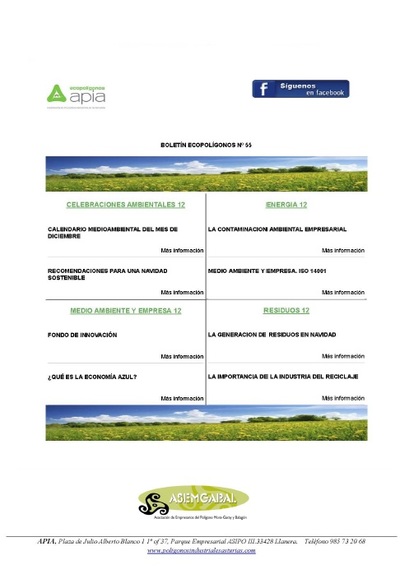 Boletín Ecopolígonos nº 55, diciembre 2020